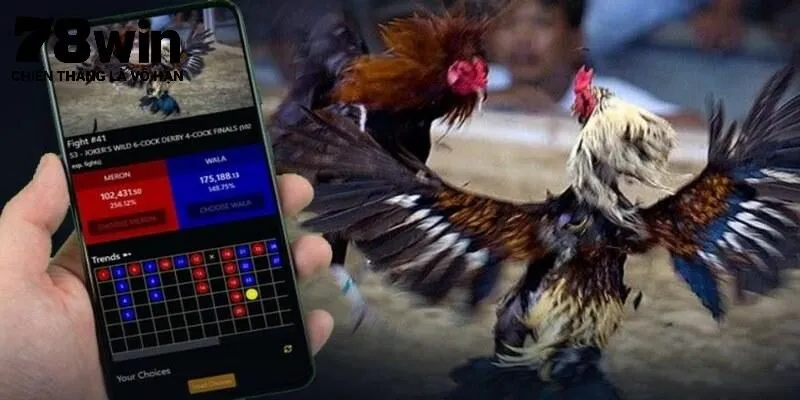 Nhiều hình thức thi đấu cho thành viên lựa chọn