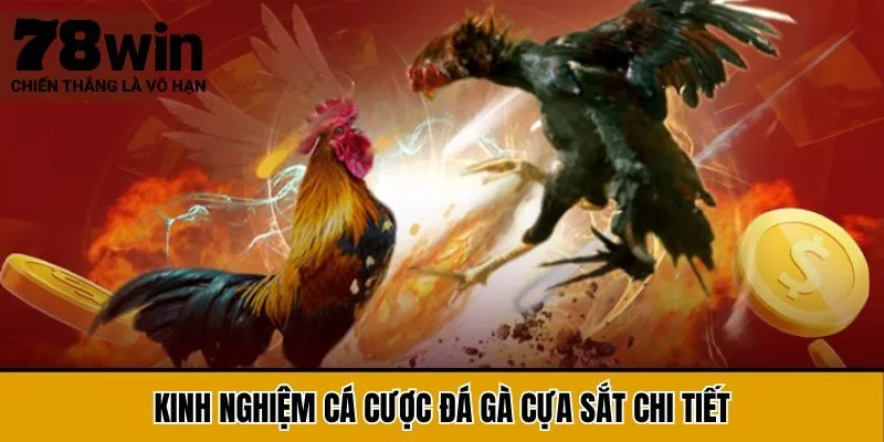 Kinh nghiệm cá cược đá gà cựa sắt chi tiết